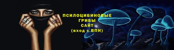 ECSTASY Армянск